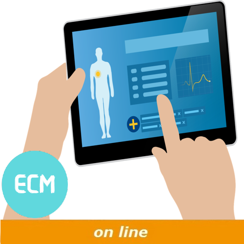 Corso di Digitalizzazione nel Settore Sanitario Il Fascicolo Elettronico Sanitario e i Referti On Line