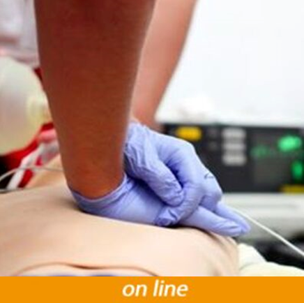 BASIC TRAUMA CARE E BLSD PBLSD